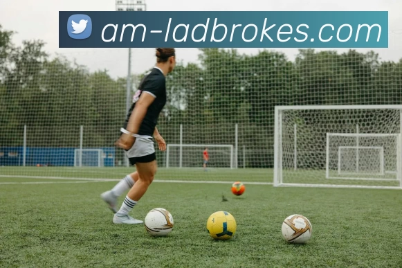 立博官网投注平台生态图