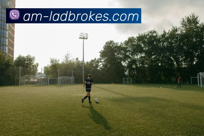 立博官网投注APP 封面图